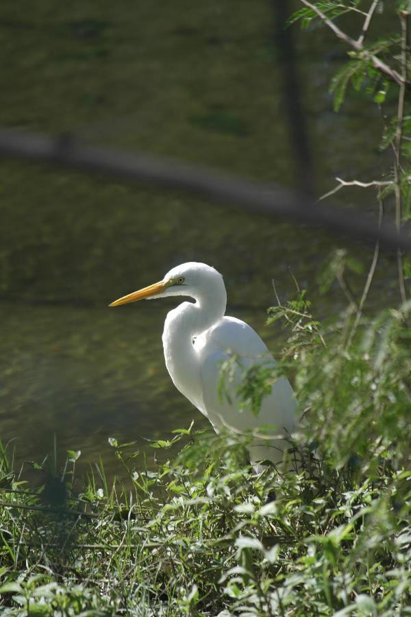 Chales Beira Rio ウバトゥバ エクステリア 写真